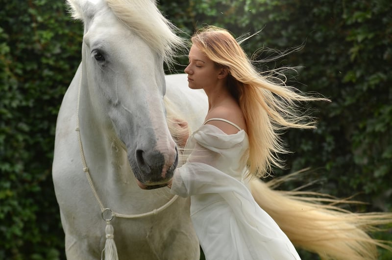 Magical fauna
